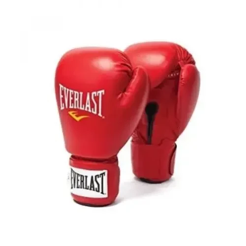 Everlast Boxing Gloves